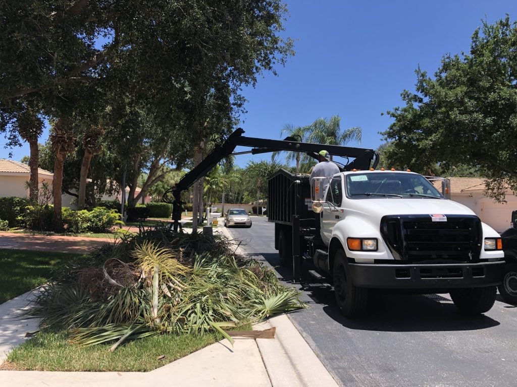 Commercial and HOA Landscape Debris Removal